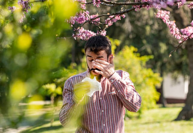 Cover image for Lentilles de contact : comment éviter les désagréments liés aux allergies de saison ?