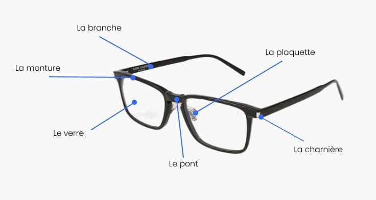 Anatomie Lunettes